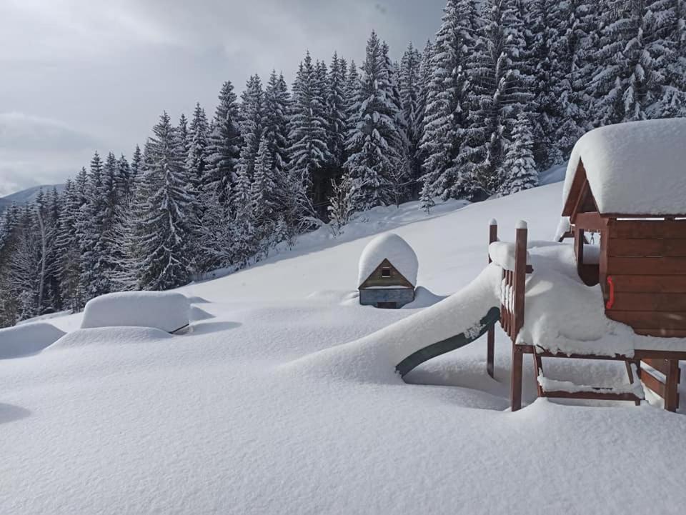 Chata Tapka Dolní Malá Úpa Exterior foto